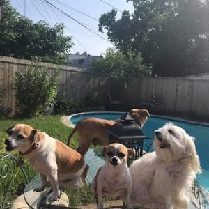 Meet your Posher, Gregoria